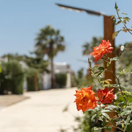 Pensionat Glaronissi 4*