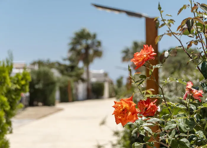 Gasthuis Glaronissi 4*